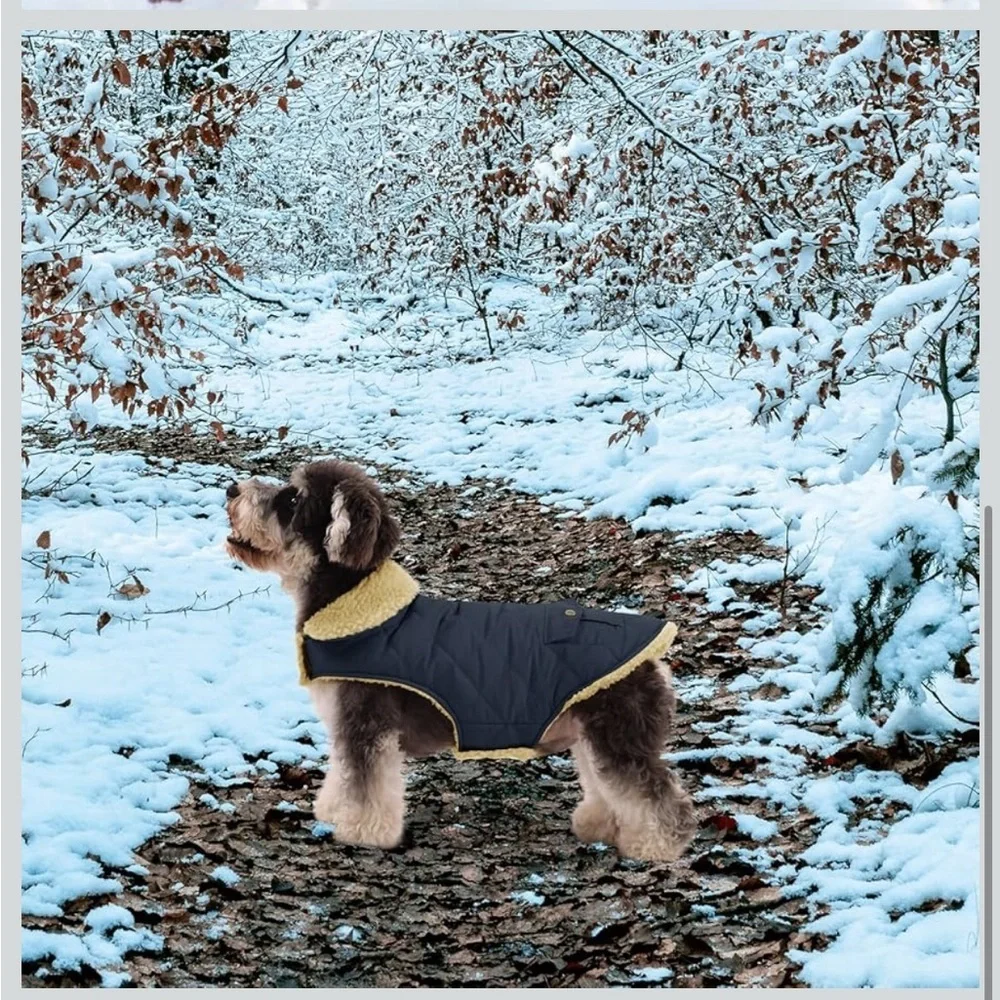 Queenmore Warm Coat For Cold Weather, Quilting Winter Jacket M/ 666/bb1
